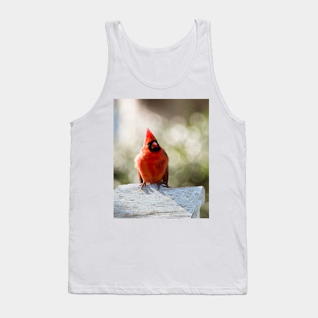 Male cardinal Tank Top by fparisi753